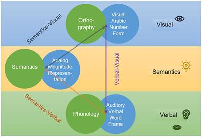 Longitudinal predictors of reading and arithmetic at different attainment levels